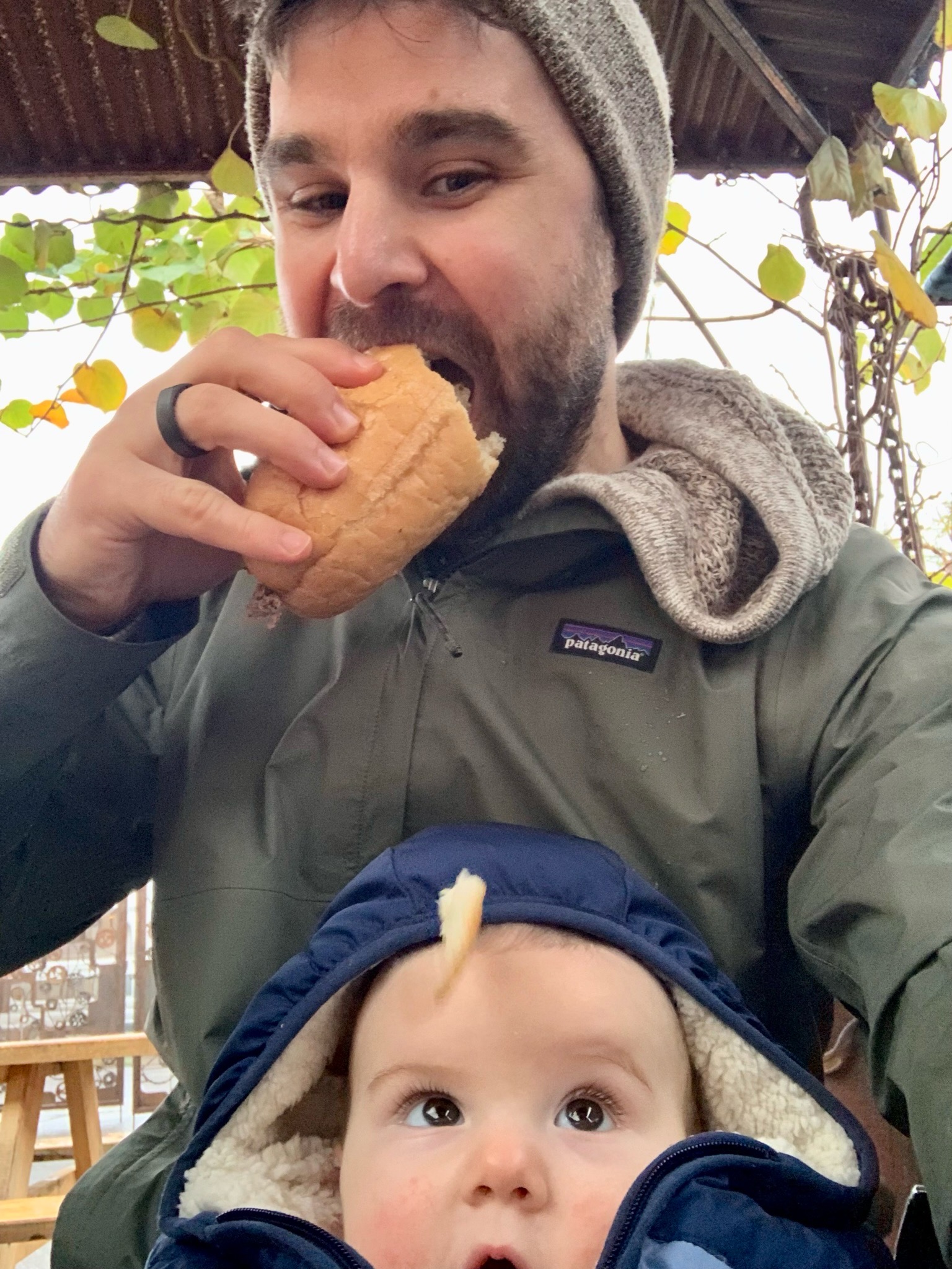 Duke eyeing some sandwich falling out of my mouth
